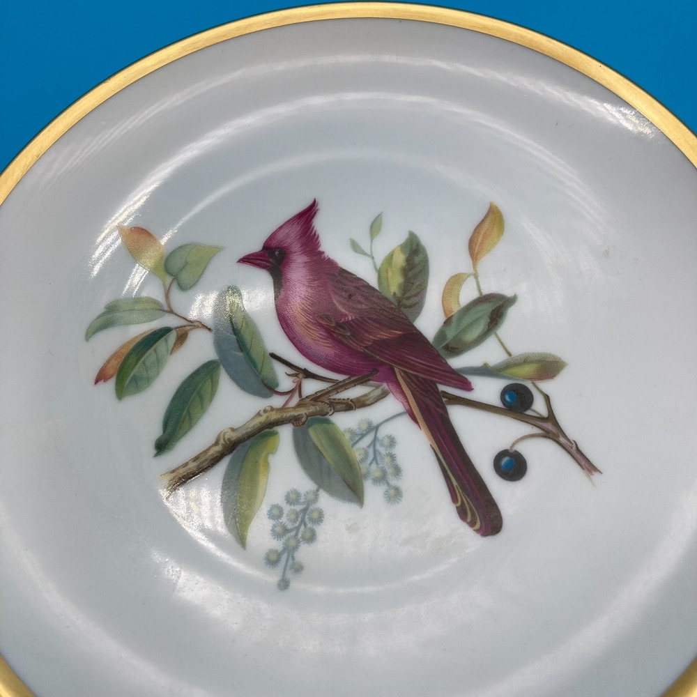 RARE Pre-War Hutschenreuther Selb Audubon Bird Plates - Set of 6 - Circa 1930s - Picture 3 of 9